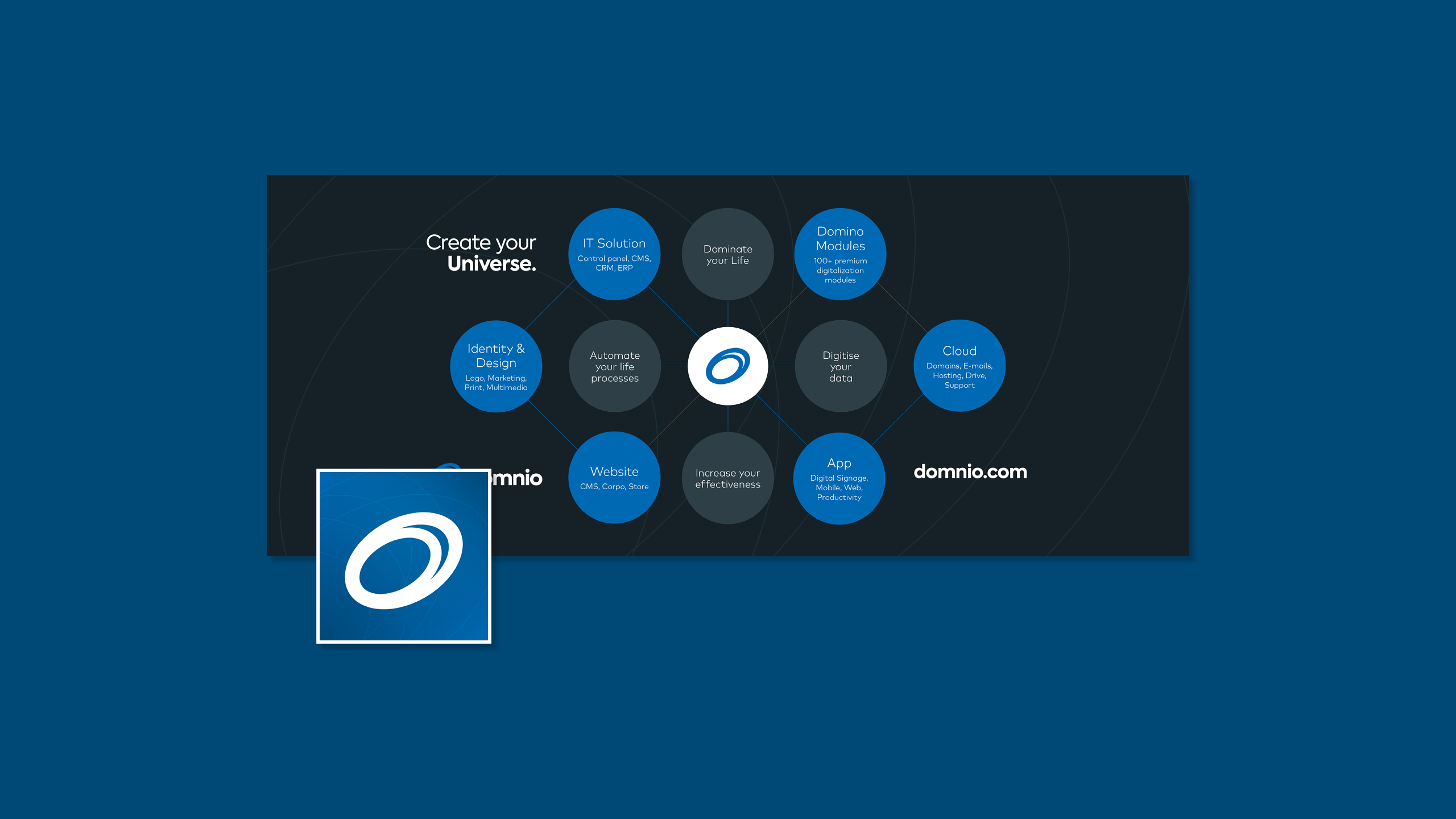 Celostna grafična podoba Domnio