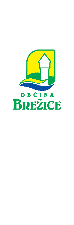 Flag of the Municipality of Brežice