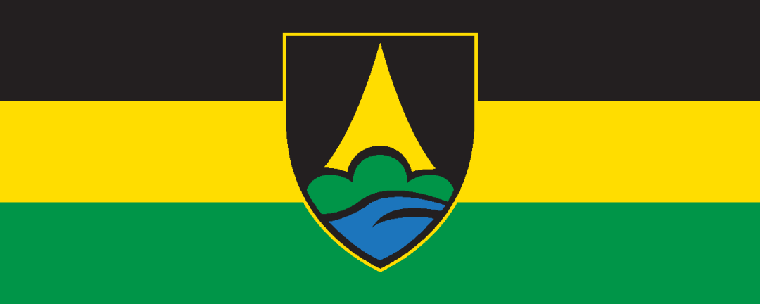Historical Flag of Brežice XX1