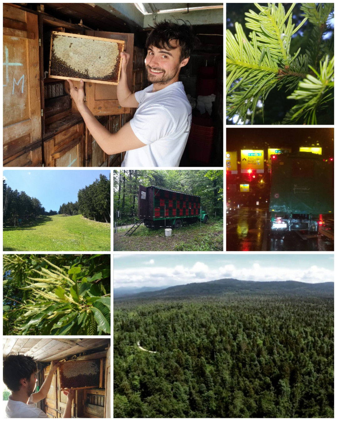 Pregled čebelarskega leta 2020