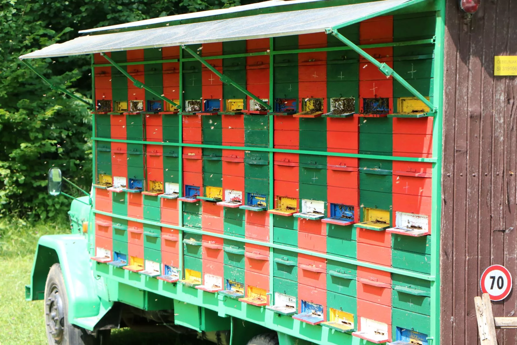 Utrinki letošnje sezone