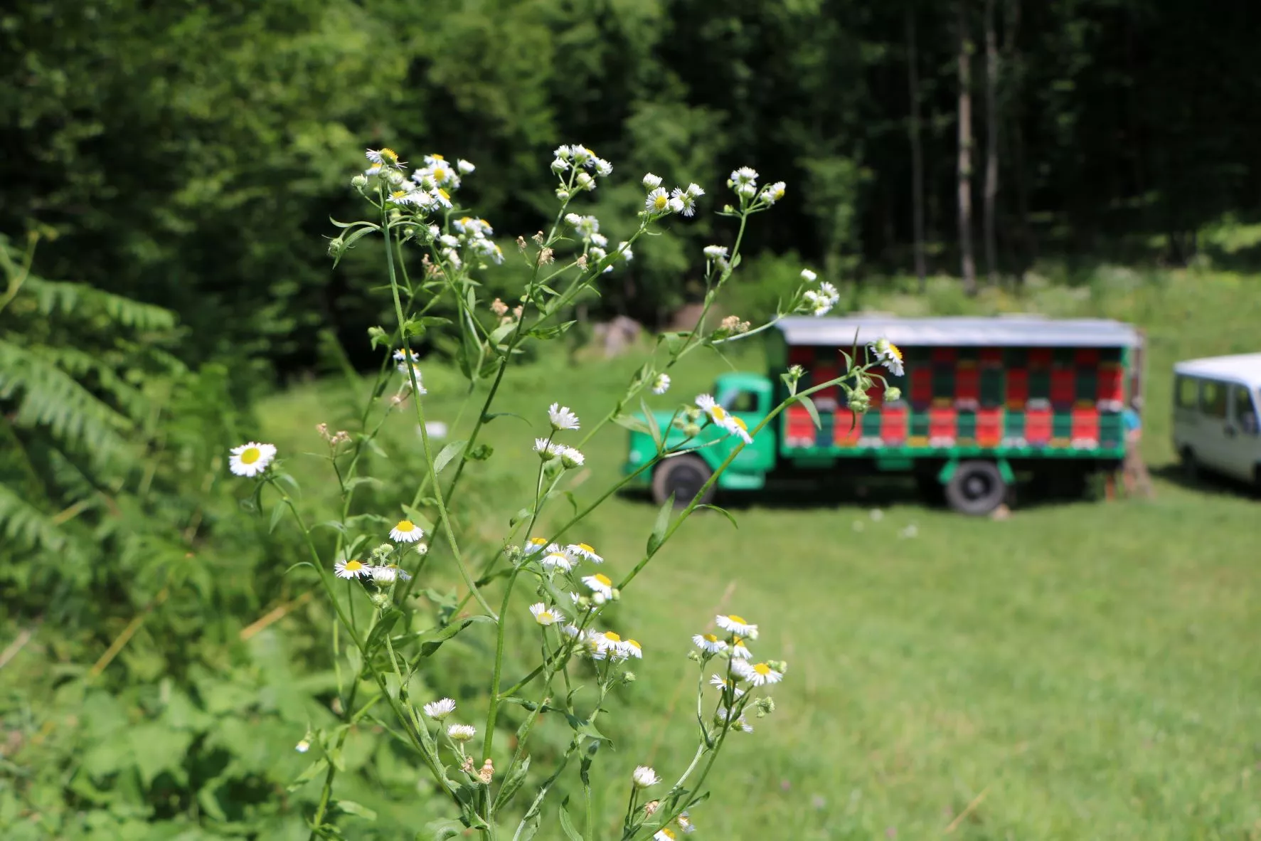 Utrinki letošnje sezone