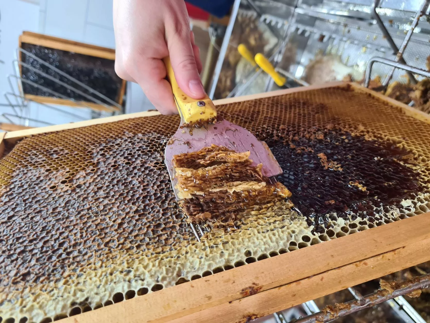 Utrinki letošnje sezone