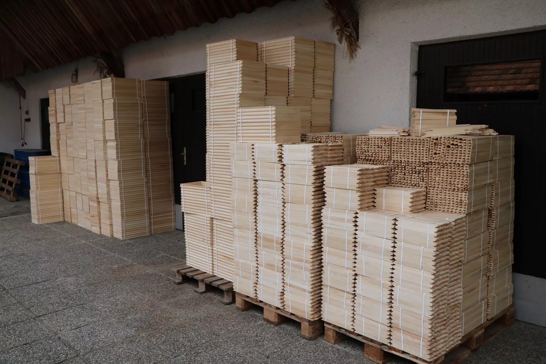 Utrinki letošnje sezone