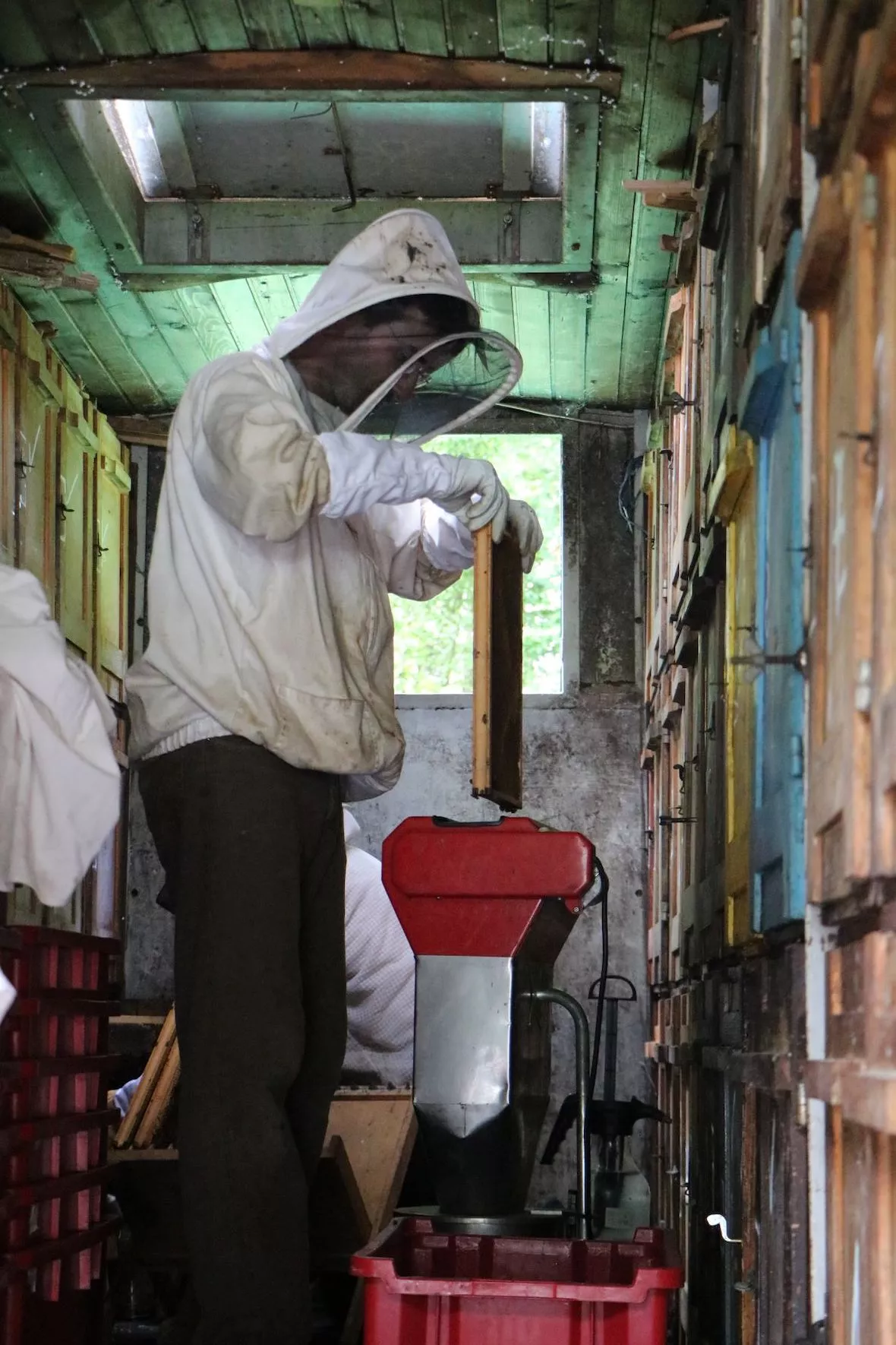 Utrinki letošnje sezone