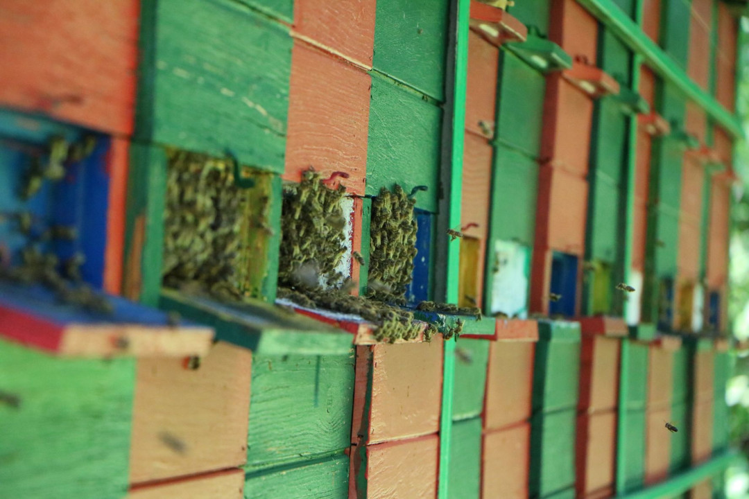 Utrinki letošnje sezone