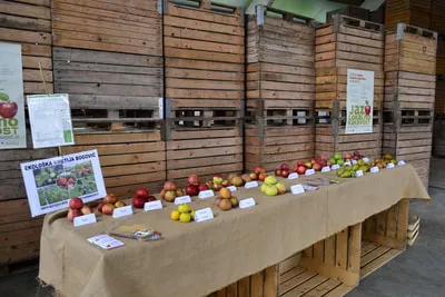 Biodinamična kmetija Bogovič