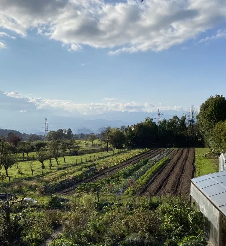 Biodinamična kmetija Brinšek