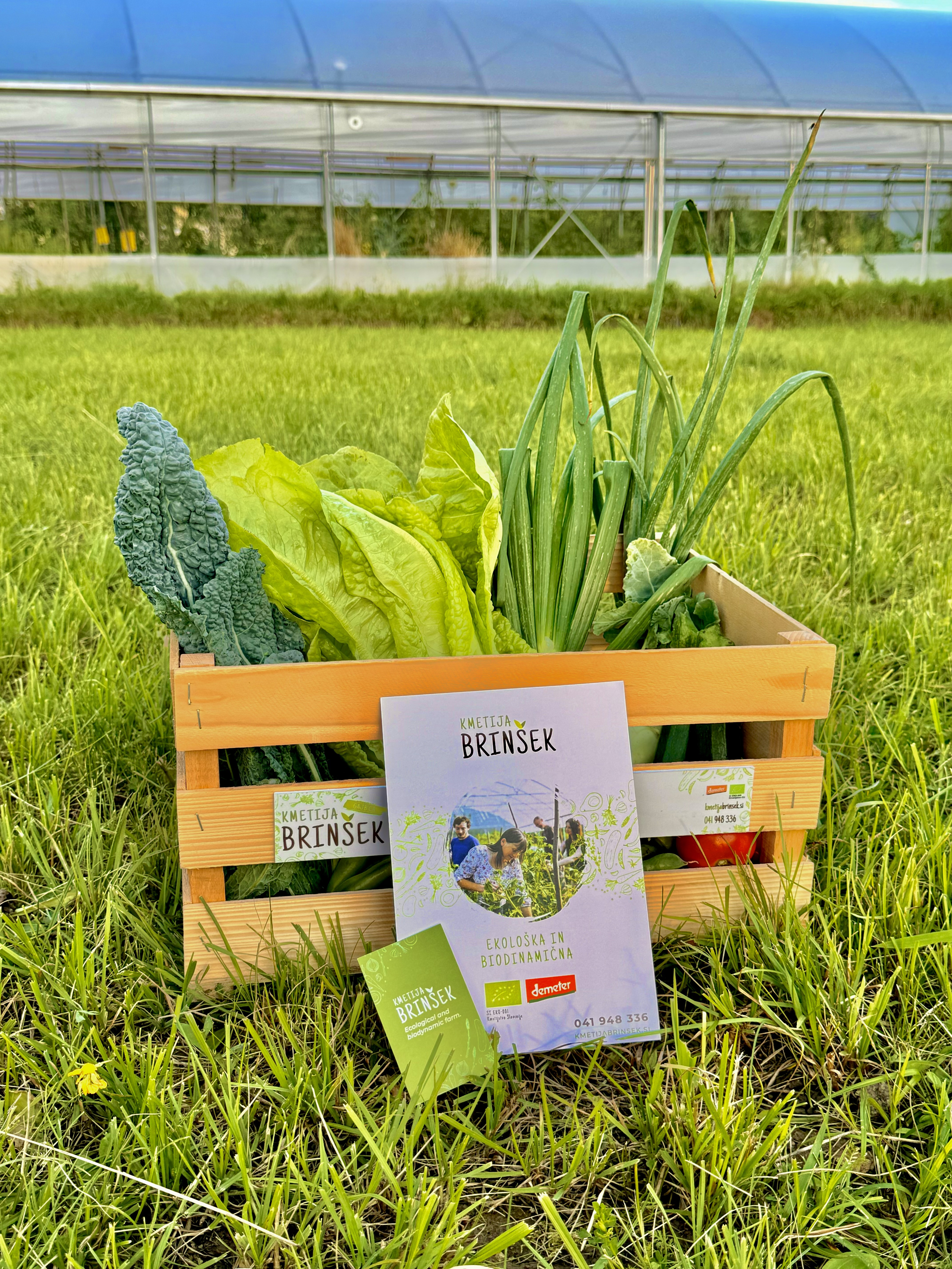 Biodinamična kmetija Brinšek