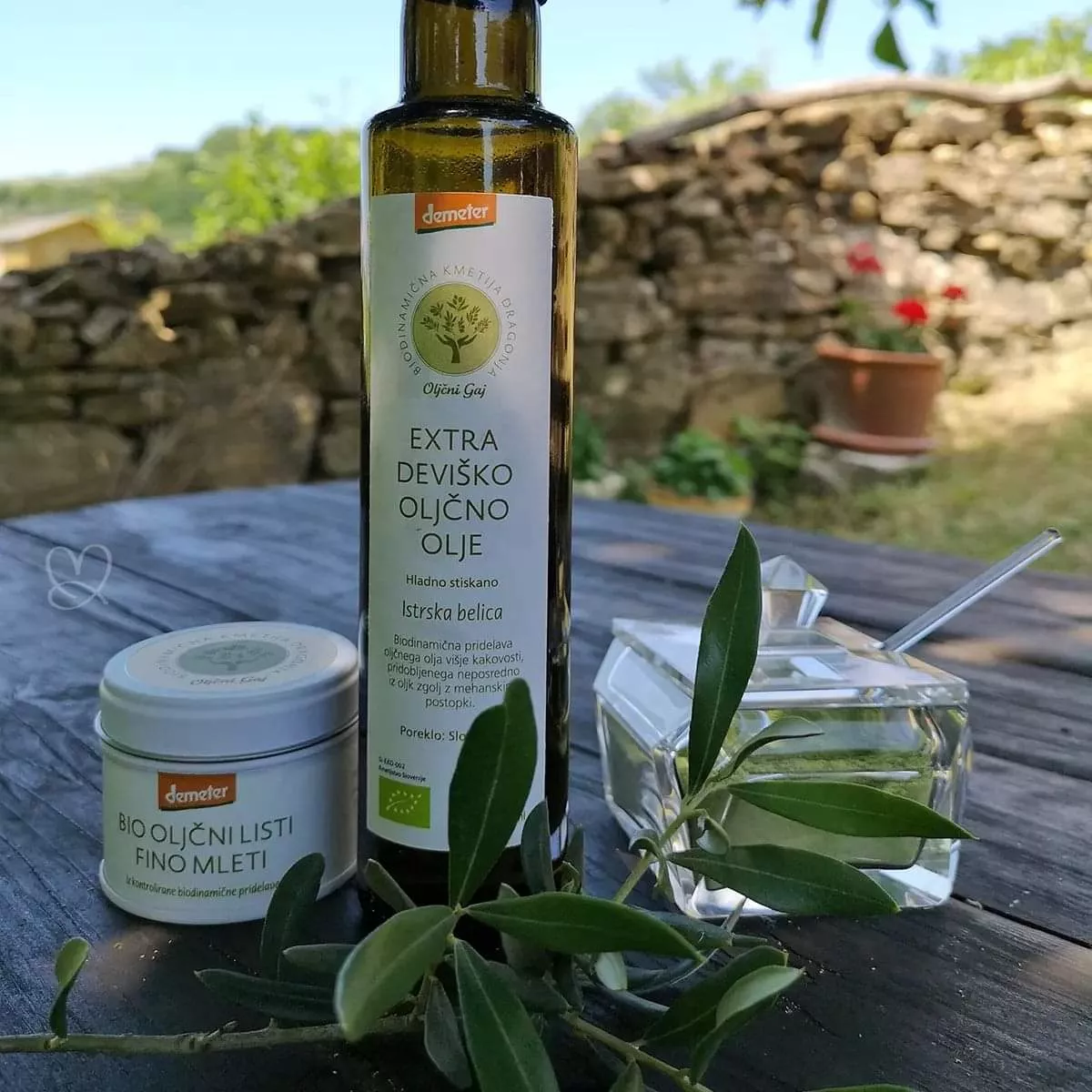 Biodinamična kmetija Dragonja - Oljčni gaj