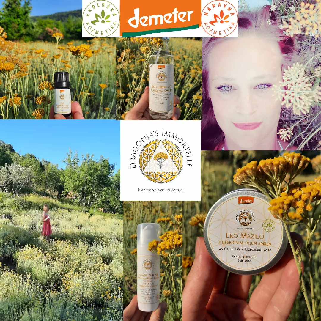 Biodinamična kmetija Dragonja - Oljčni gaj