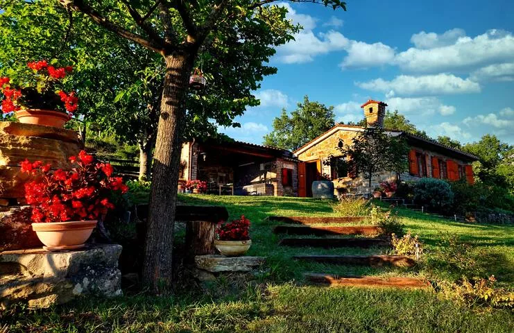 Biodinamična kmetija Dragonja - Oljčni gaj