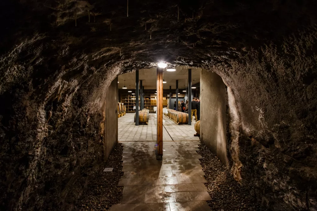 Biodinamična kmetija Guerila