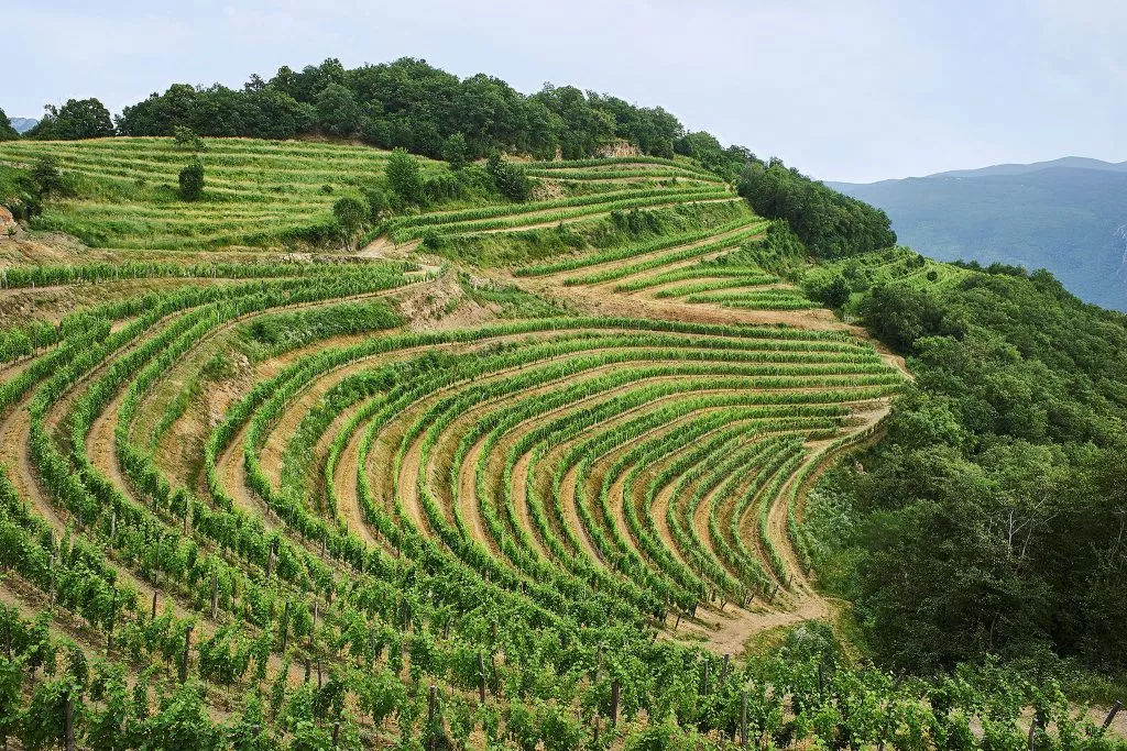 Biodinamična kmetija Guerila