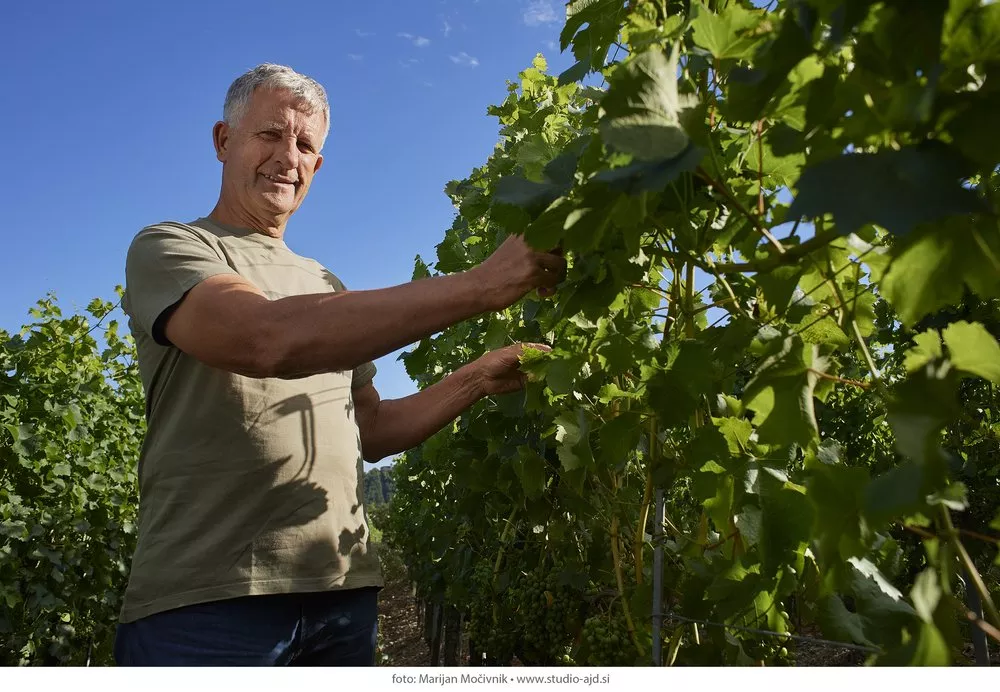 Biodinamična kmetija Guerila