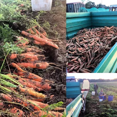 Biodinamična kmetija Kasaš