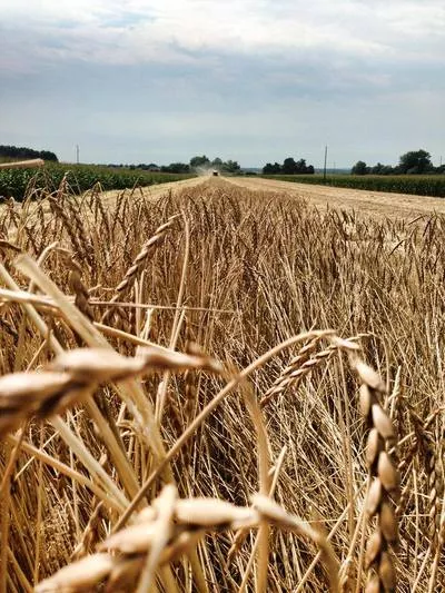Biodinamična kmetija Kasaš