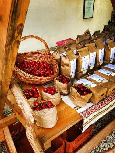 Biodinamična kmetija Kasaš