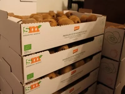 Biodinamična kmetija Mozetič