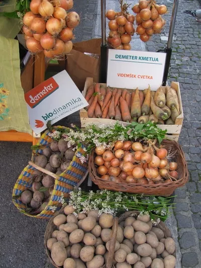 Biodinamična kmetija Pri Cajhnu, Videmšek