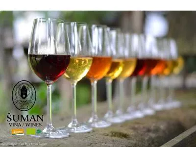 Biodinamična kmetija Šuman ​​