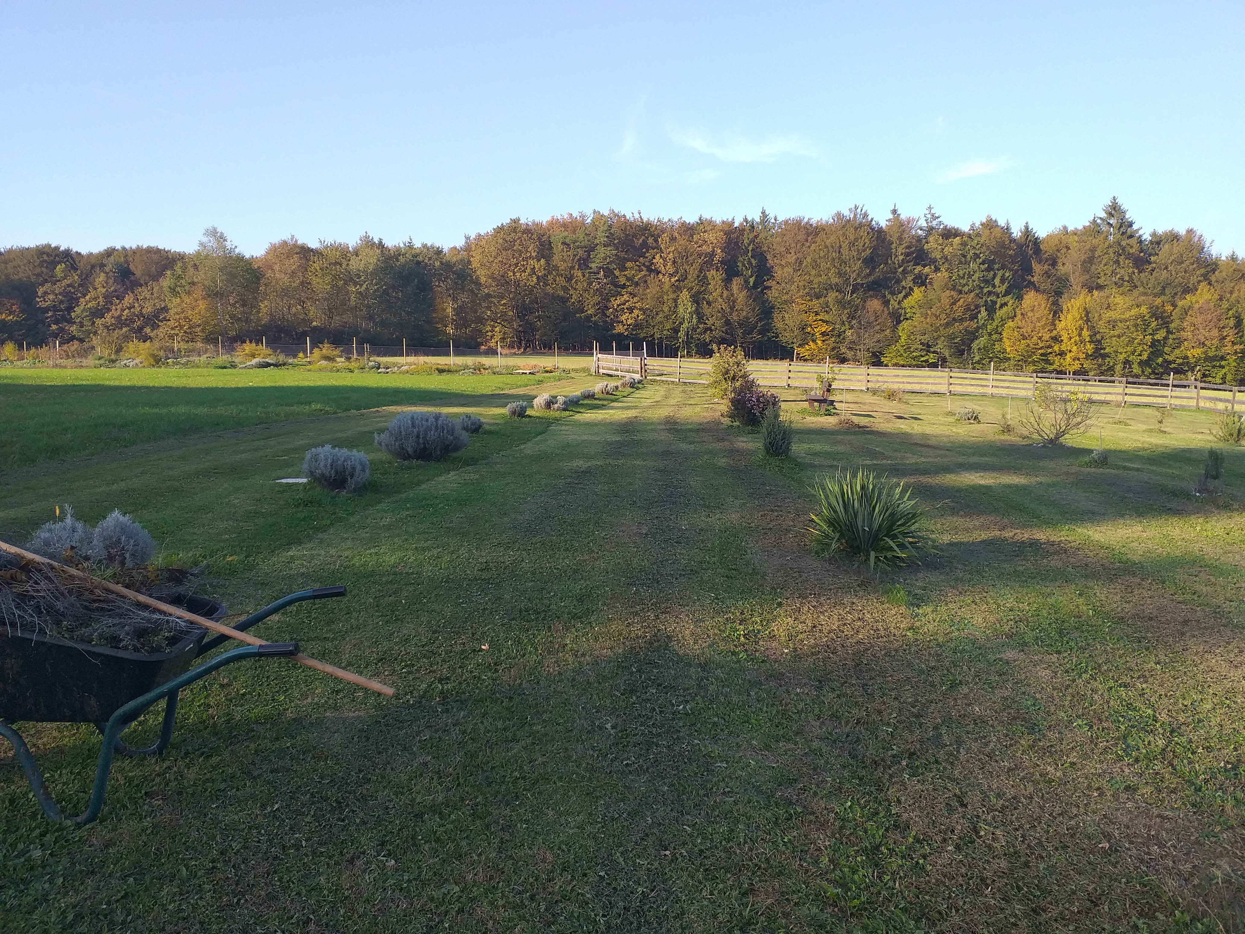 Demeter ekokmetija Forštnerič