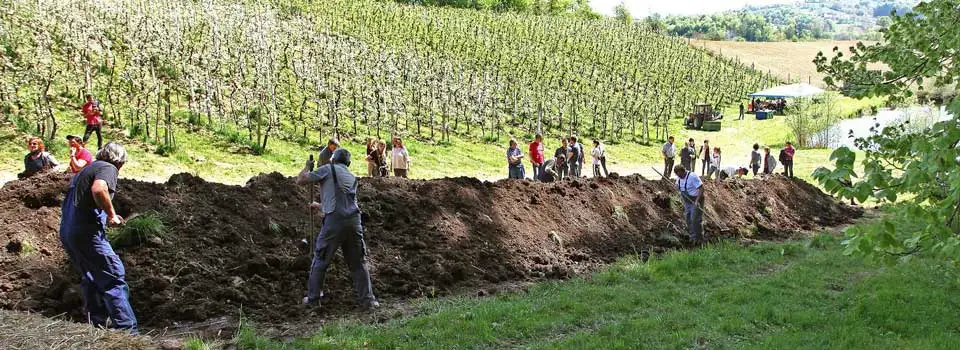 Demeter kmetija Purgaj