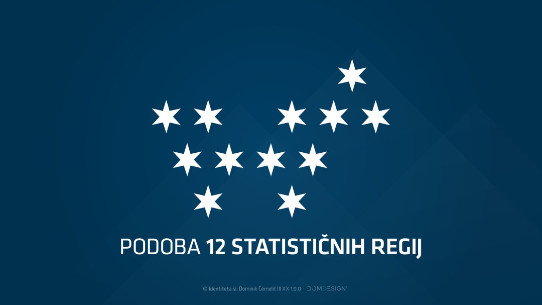 Podoba 12 statističnih regij