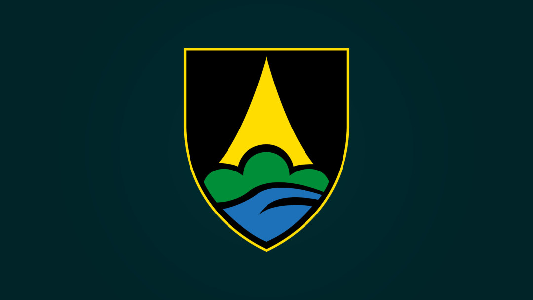 Zgodovinska podoba Brežic