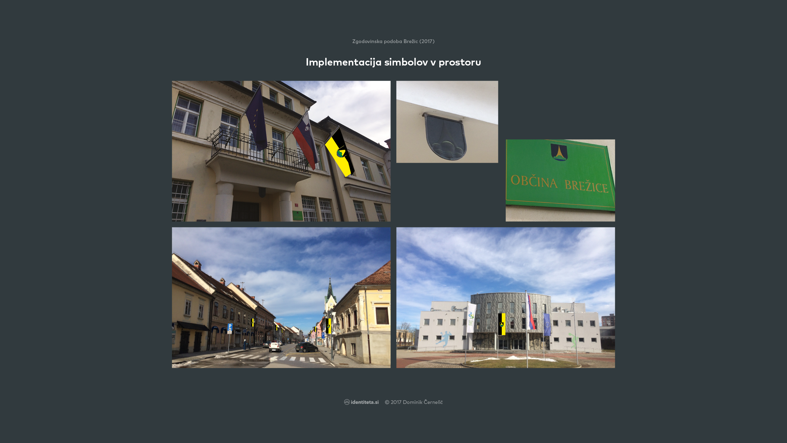 Zgodovinska podoba Brežice (2017)