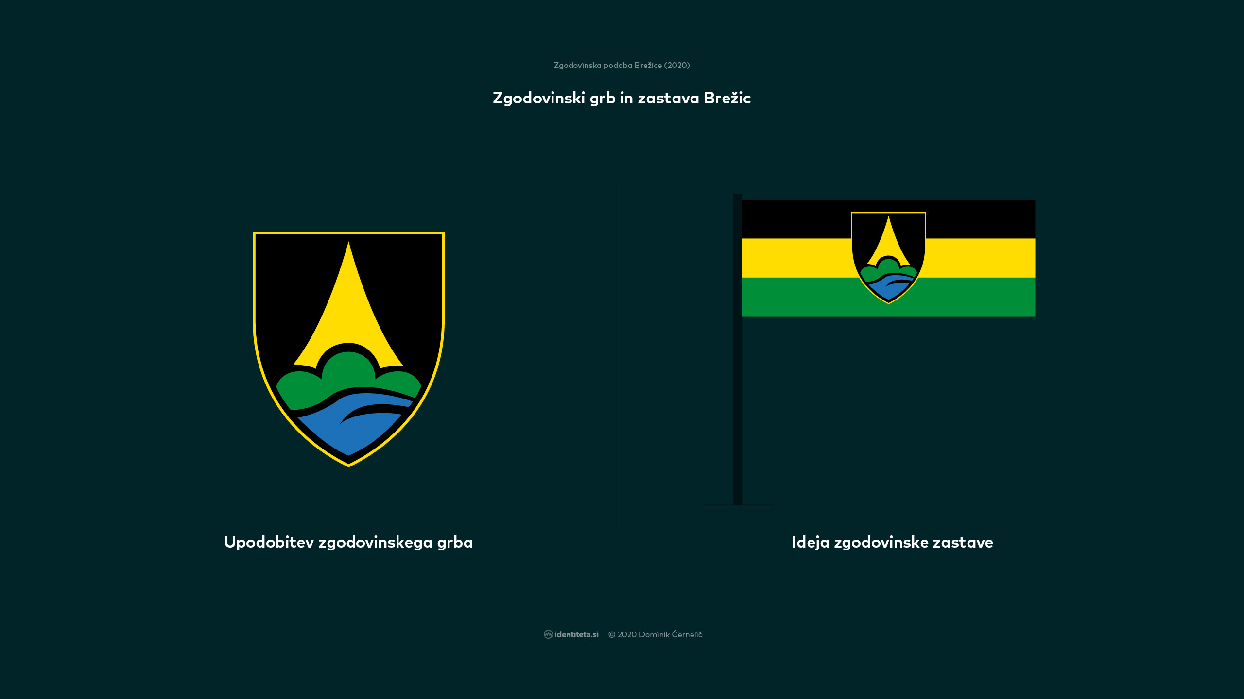 Zgodovinska podoba Brežice (2020)