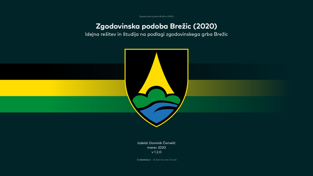 Zgodovinska podoba Brežice (2020)