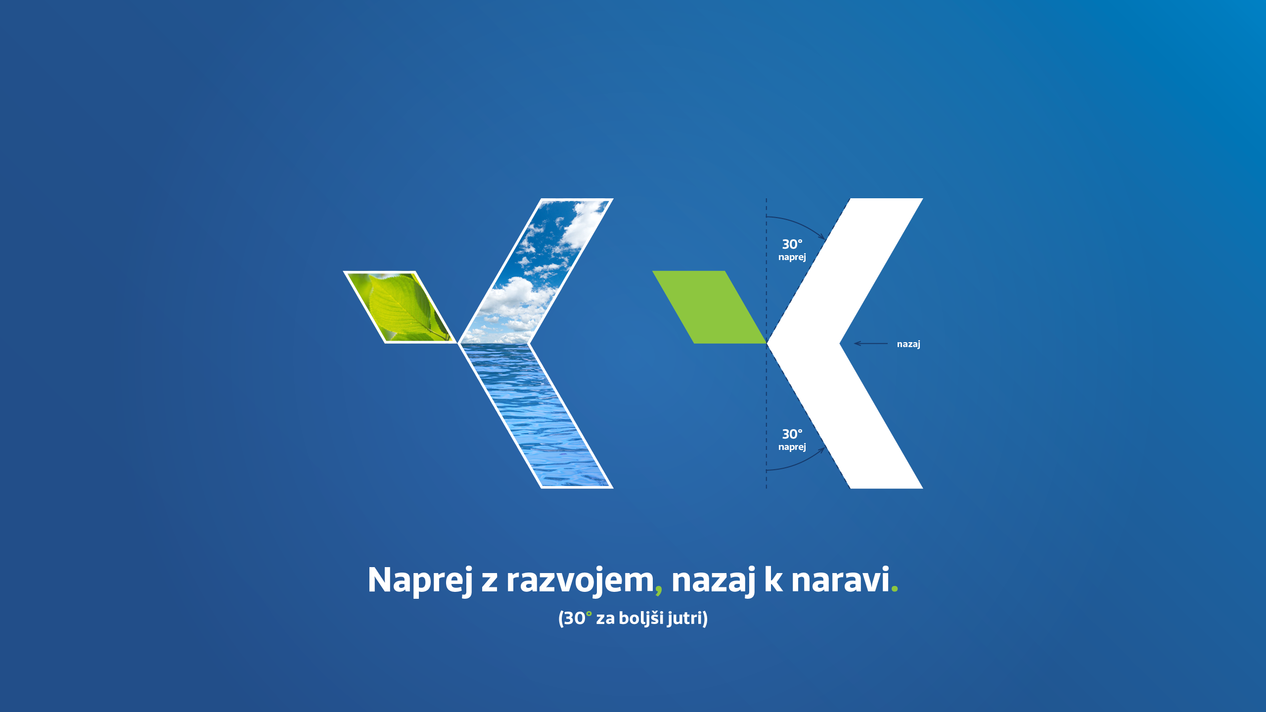 Celostna podoba Kostak Skupina