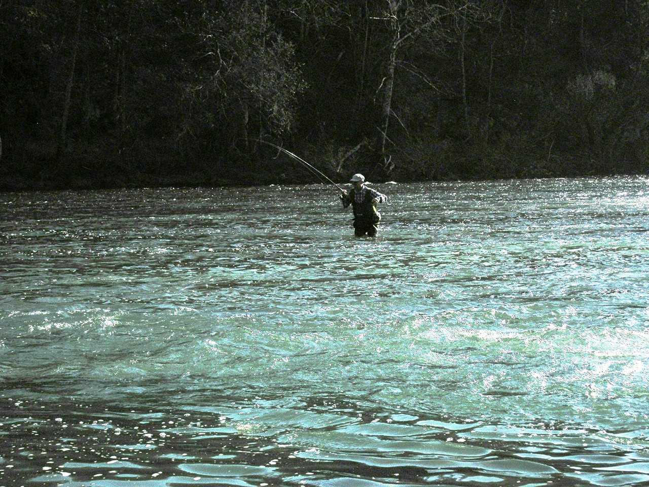 Mikroplastika je skriti sovražnik okolja