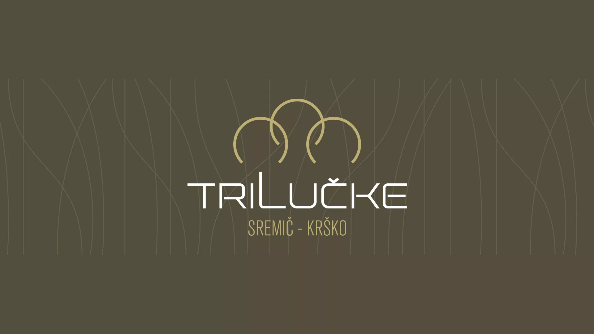 Celostna podoba Tri lučke