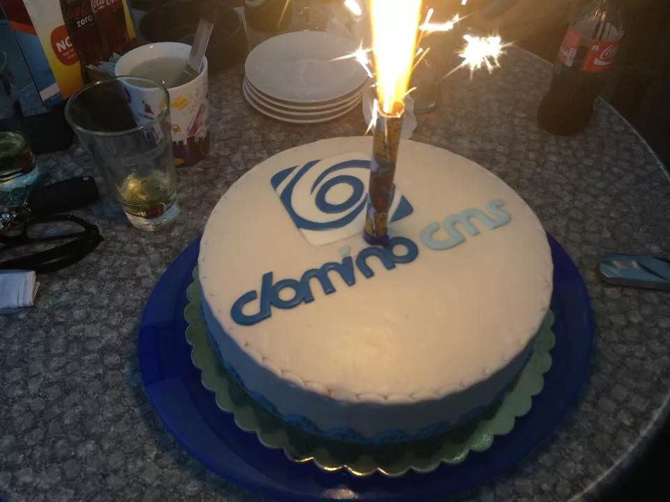 Dominikov 30. rojstni dan