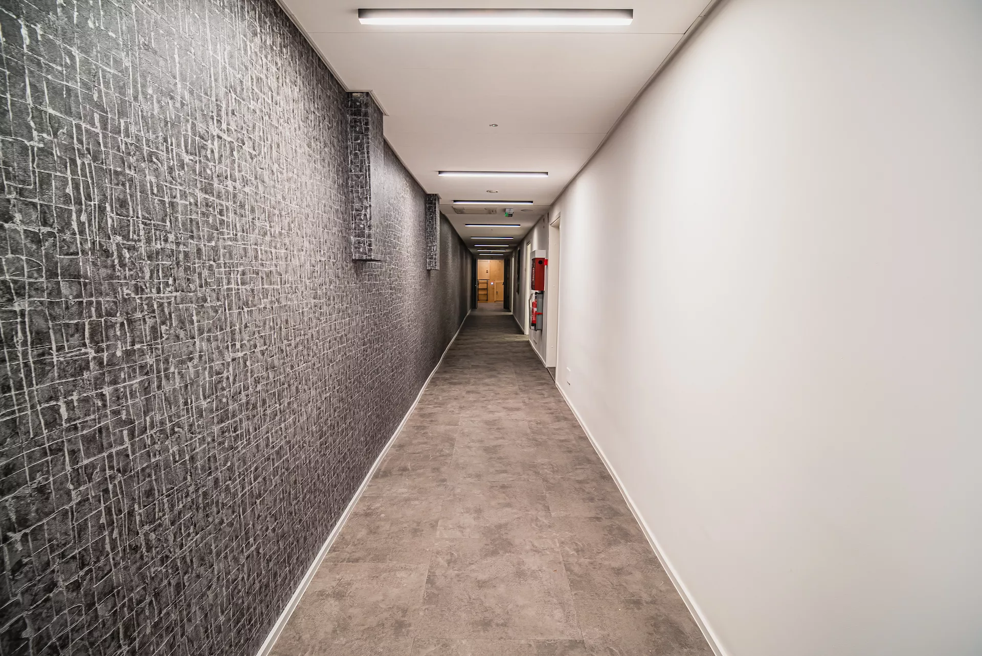 Dragon’s Dream Hostel s svežo podobo in spletno booking platformo odpira svoja vrata