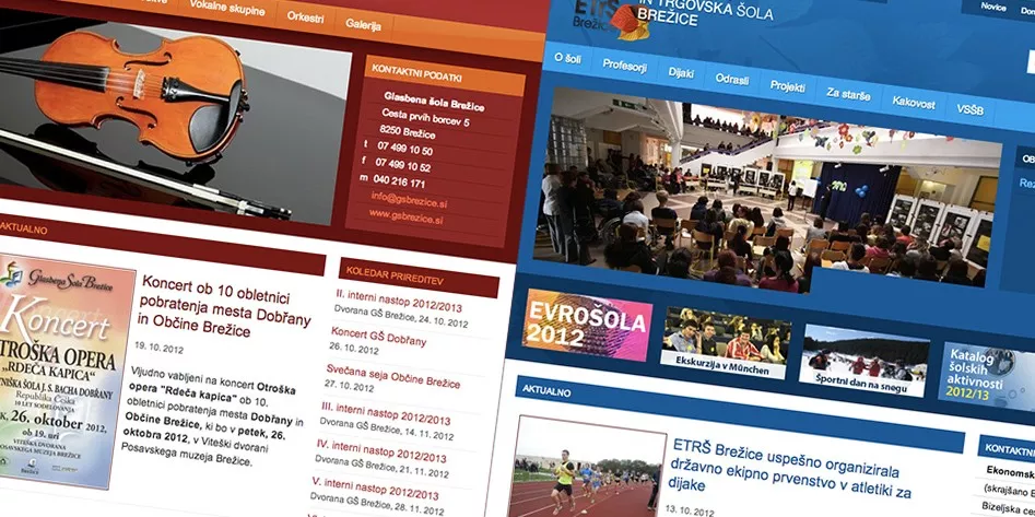 Novi spletni strani Brežiških šol