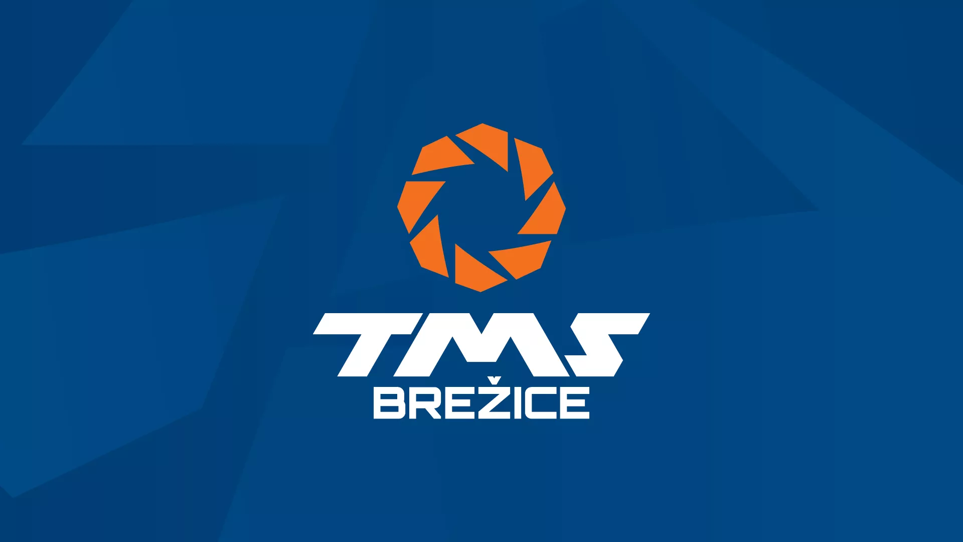 TMS Brežice