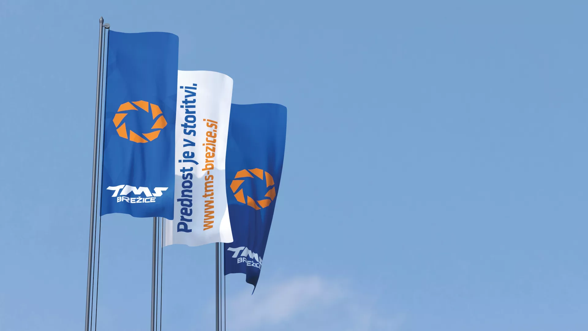 TMS Brežice