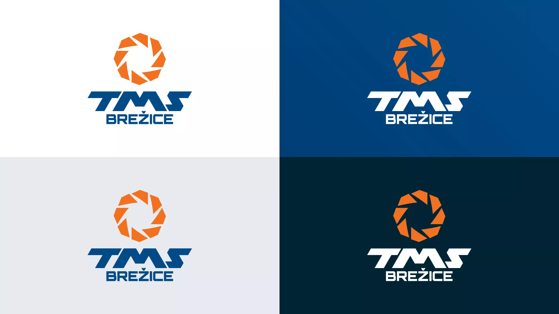 TMS Brežice