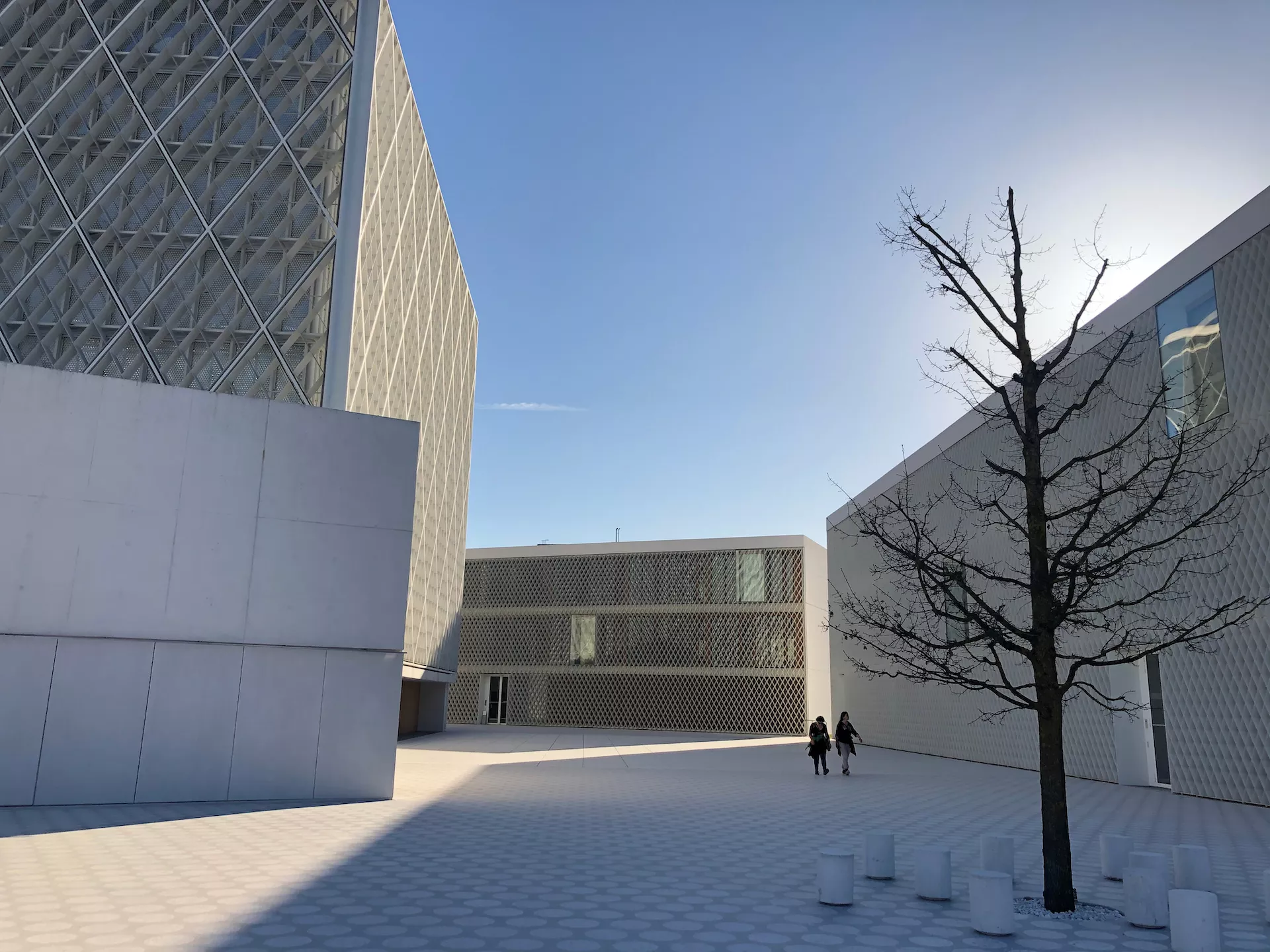 Zavod Averroes s prenovljeno spletno stranjo