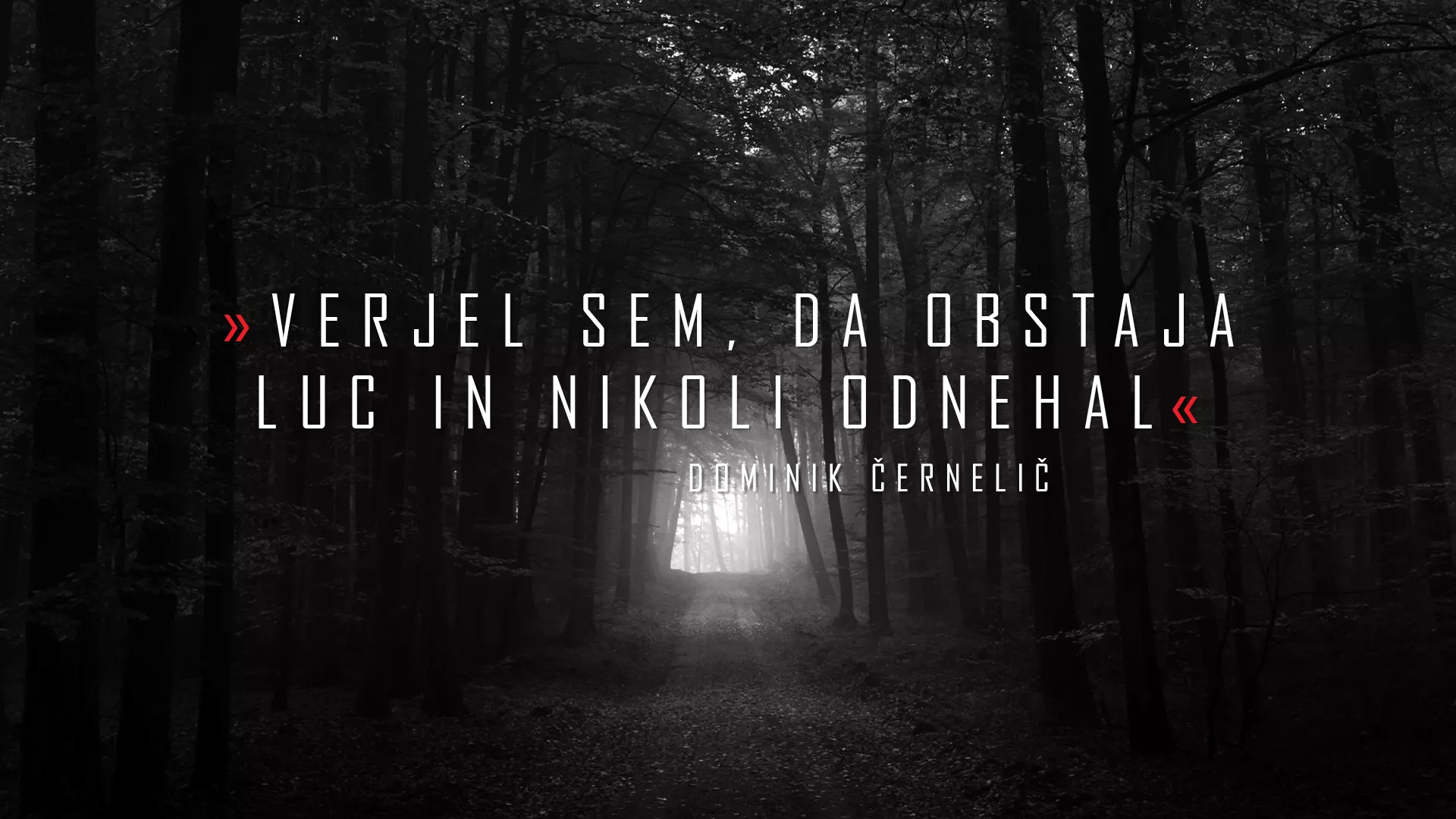 TEDx Krško - Failure is not an option