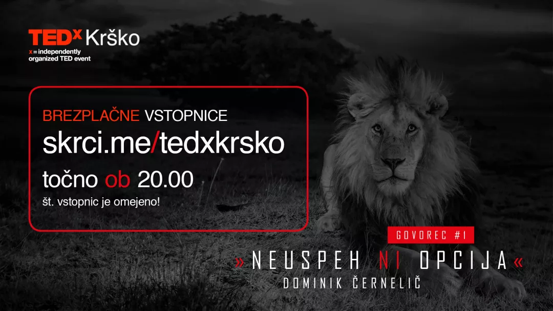 TEDx Krško - Failure is not an option