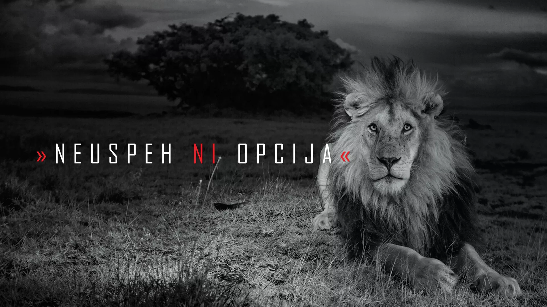 TEDx Krško - Failure is not an option