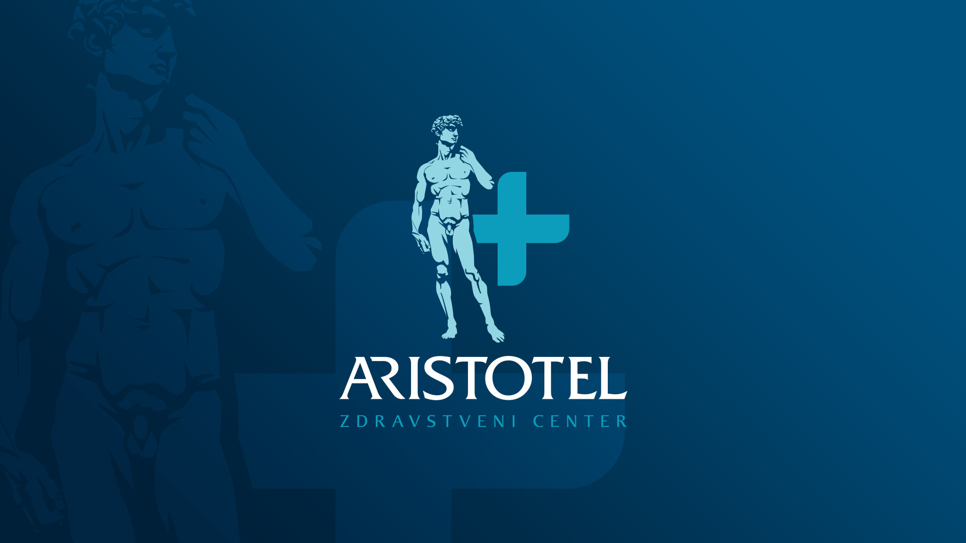 Celostna podoba Aristotel