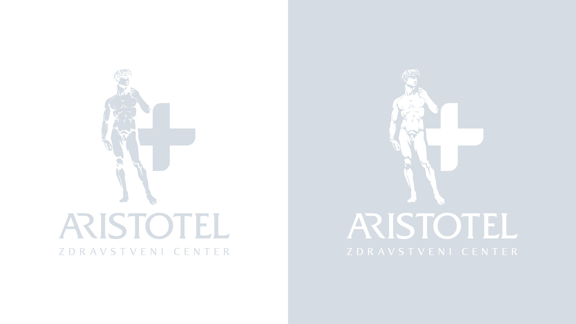 Celostna podoba Aristotel