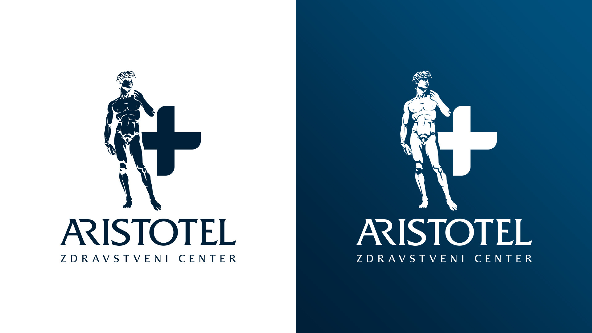 Celostna podoba Aristotel