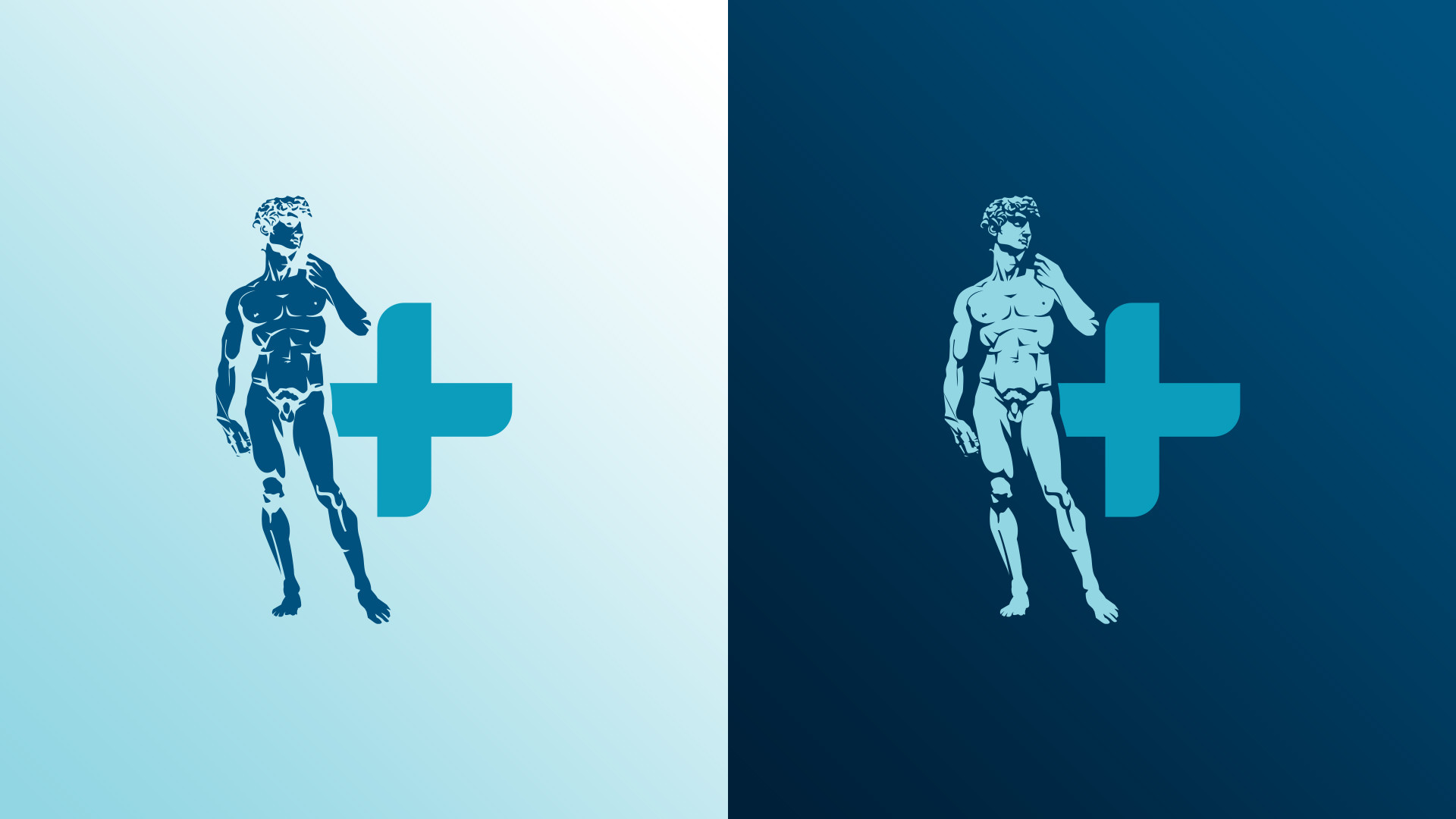 Celostna podoba Aristotel