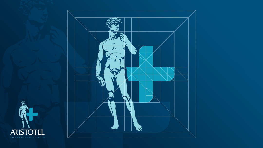 Celostna podoba Aristotel